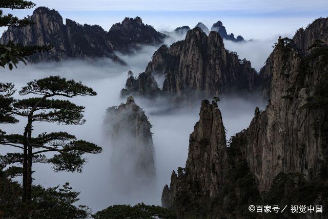 太阳一枝独秀，西部新秀争霸局面再现